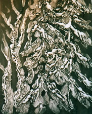 Pines in Winter, (Brown)  Monoprint 8" x 11"