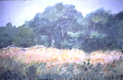 Ragdale Meadow I, Acrylic on canvas 18" x 24"