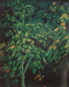 Trees II, Oil 18" x 24"